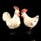 White Chicken Pair
