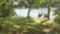 Sharp County Arkansas: Cherokee Village Perfect Lot! Financing Now Available!!