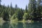 Gorgeous Northern California Property In Beautiful California Pines Subdivision!!! Just Bid & Take O