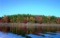 Sharp County Arkansas: Cherokee Village Great Homesite Investment Lot! Low Monthly Payments!