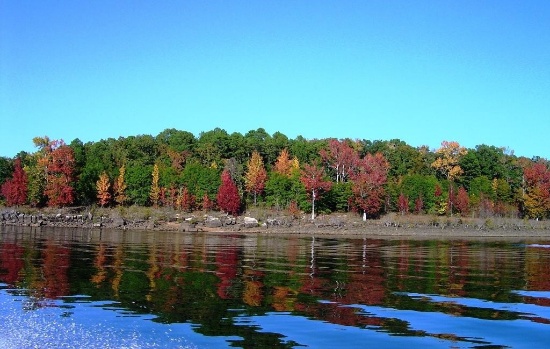 Sharp County Arkansas: Cherokee Village Great Homesite Investment Lot! Low Monthly Payments!