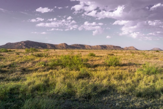 CASH SALE 12.07 Acres In Hudspeth County Texas Near Rio Grande River File 1439257