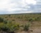 Texas 20 Acre Land Investment near Dell City and Highway in Hudspeth County! Low Monthly Payments!