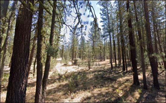 Northern California Modoc County 0.92 Acre Lot! Low Monthly Payments!