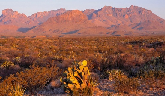 Texas Hudspeth County Dell Garden Estates Lot! Great Land Use Options! Low Monthly Payments!