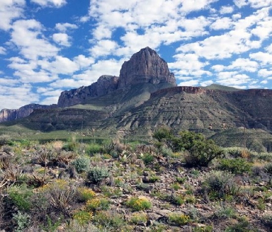 GovernmentAuction.com Special Land Liquidation