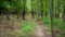 Arkansas Sharp County Cherokee Village Lot! Great Homesite Investment near Lake and Parks! Low Month