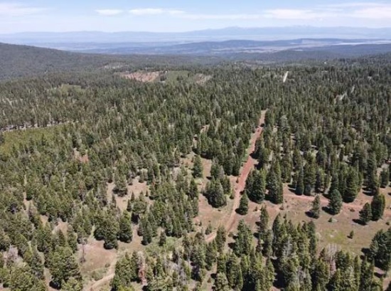 Northern California Modoc County 0.91 Acre Beautiful California Pines Lot! Amazing Recreation! Low M
