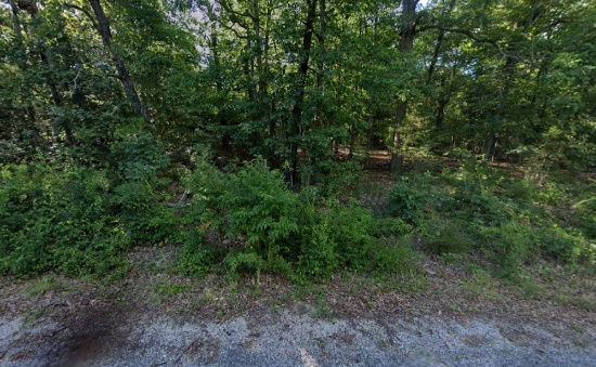 Arkansas Sharp County Lot in Cherokee Village! Great for Homesite and Recreation! Low Monthly Paymen