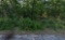 Arkansas Sharp County Lot in Cherokee Village! Great for Homesite and Recreation! Low Monthly Paymen