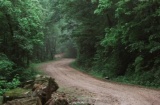 Arkansas Ozark Acres Lot in Sharp County near to Spring Lake and Public Park! Low Monthly Payments!