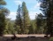 Northern California Modoc County 0.99 Acre Lot! Fantastic Mountain Views And Recreation! Low Monthly