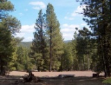 Northern California Modoc County 0.99 Acre Lot! Fantastic Mountain Views And Recreation! Low Monthly