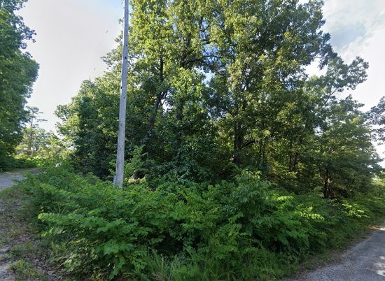Hilltop Cherokee Village Corner Lot in Sharp County Arkansas! Superb Location Near Lakes And Town! L