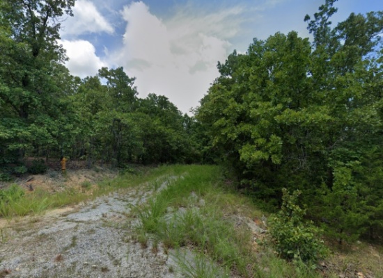 DOUBLE LOT! Arkansas Fulton County 0.56 Acre Rare Property in Cherokee Village! Great Investment! Lo