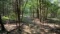 TRIPLE LOT Rare Cherokee Village Investment Opportunity Arkansas Fulton County! Low Monthly Payment!