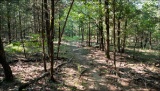 TRIPLE LOT Rare Cherokee Village Investment Opportunity Arkansas Fulton County! Low Monthly Payment!
