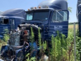 1996 Peterbilt Blue