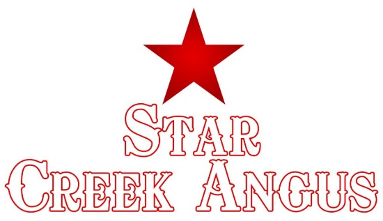 Star Creek Angus Ranch Equipment Auction