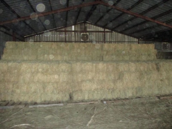 420 Square Bales of Coastal Hay