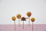 5-Shell enamel metal stick pins