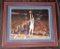 Cavs Warriors Steph Curry Auto NBA Finals Lebron James Kyrie Fanatics w/ COA Framed Photo/Poster