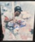 Curt Flood St. Louis Cardinals Autographed MLB Baseball 8x10 Color Photo JSA Certified