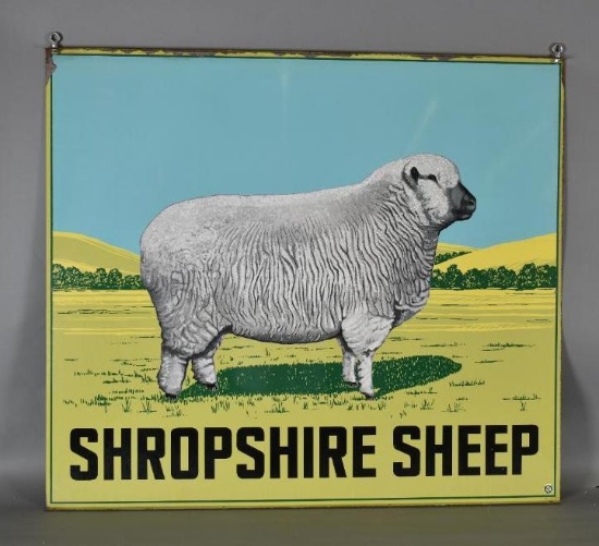 Shropshire Sheep w/Images Metal Sign
