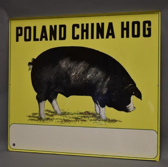 Poland China Hog w/Logo Metal Sign