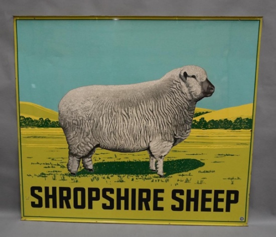 Shropshire Sheep w/ Animal Graphic Metal Sign