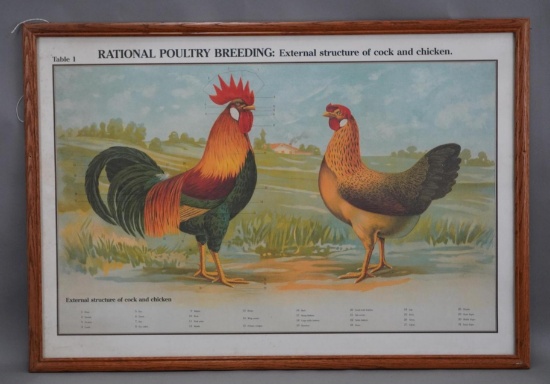 School Educational Poster "Rational Poultry Breeding