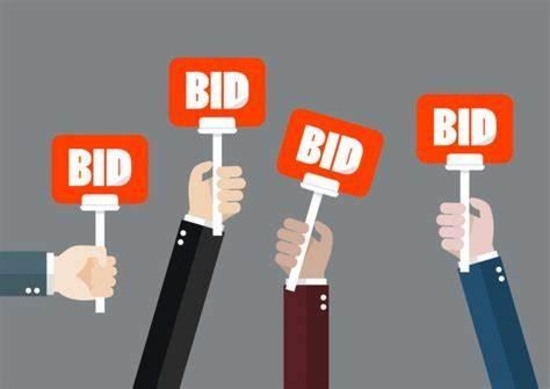 Bidding Options