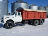 1970 Chevy C60 tag tandem grain truck