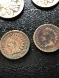 Five buffalo nickels two Indianhead penny