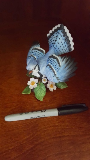 Lenox blue jay