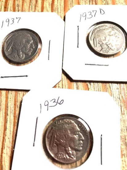 5 Collectible buffalo nickels