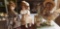 Lot of Three Dolls