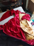 Size 10-12 girls costume
