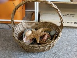 Basket with assortment of decorative sea shells