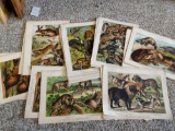 Assortment of early 1900's etchings