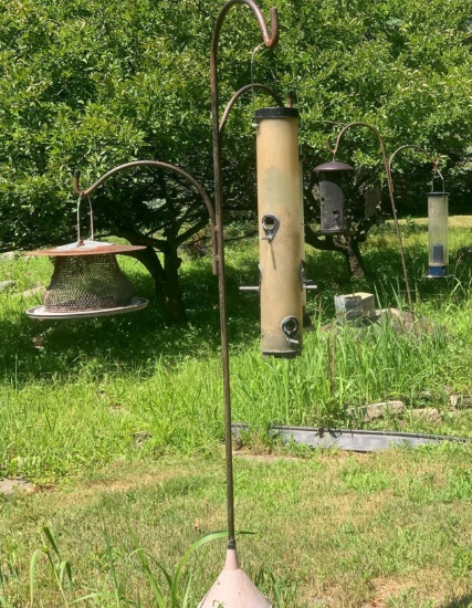 Backyard, two calls with bird feeders