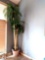 9 ft tall lighted artificial tree
