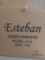 Esteban guitar amp new