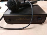 Realistic microphone system