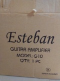 Esteban guitar amp new
