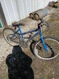 Roadmaster girls 24 inch bike needs cleaned up