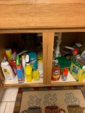 Contents of under sink cabinet dish soap soft scrub and other