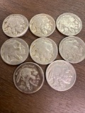 Eight buffalo nickels