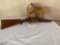 Stevens savage arms Model 940, 410, 3 inch chamber