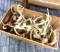 Lot of assorted antlers